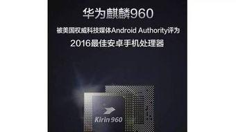 国产二页,引领科技潮流的创新之作